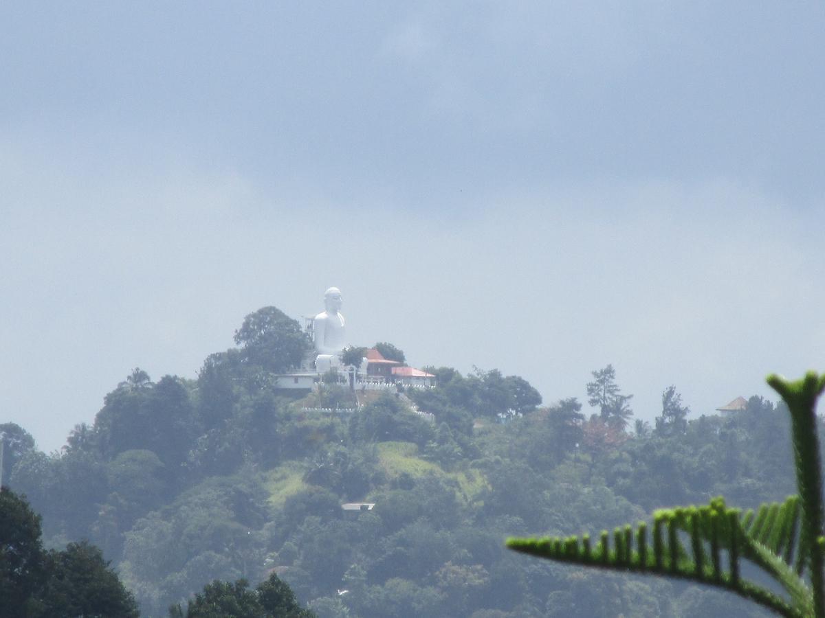 Cloud Inn Kandy Homestay Exteriör bild