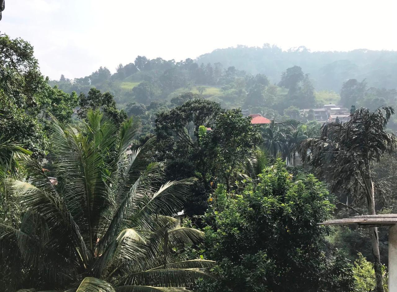 Cloud Inn Kandy Homestay Exteriör bild