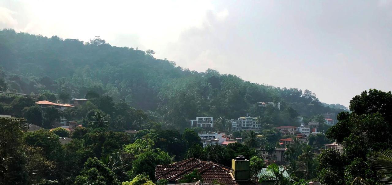 Cloud Inn Kandy Homestay Exteriör bild