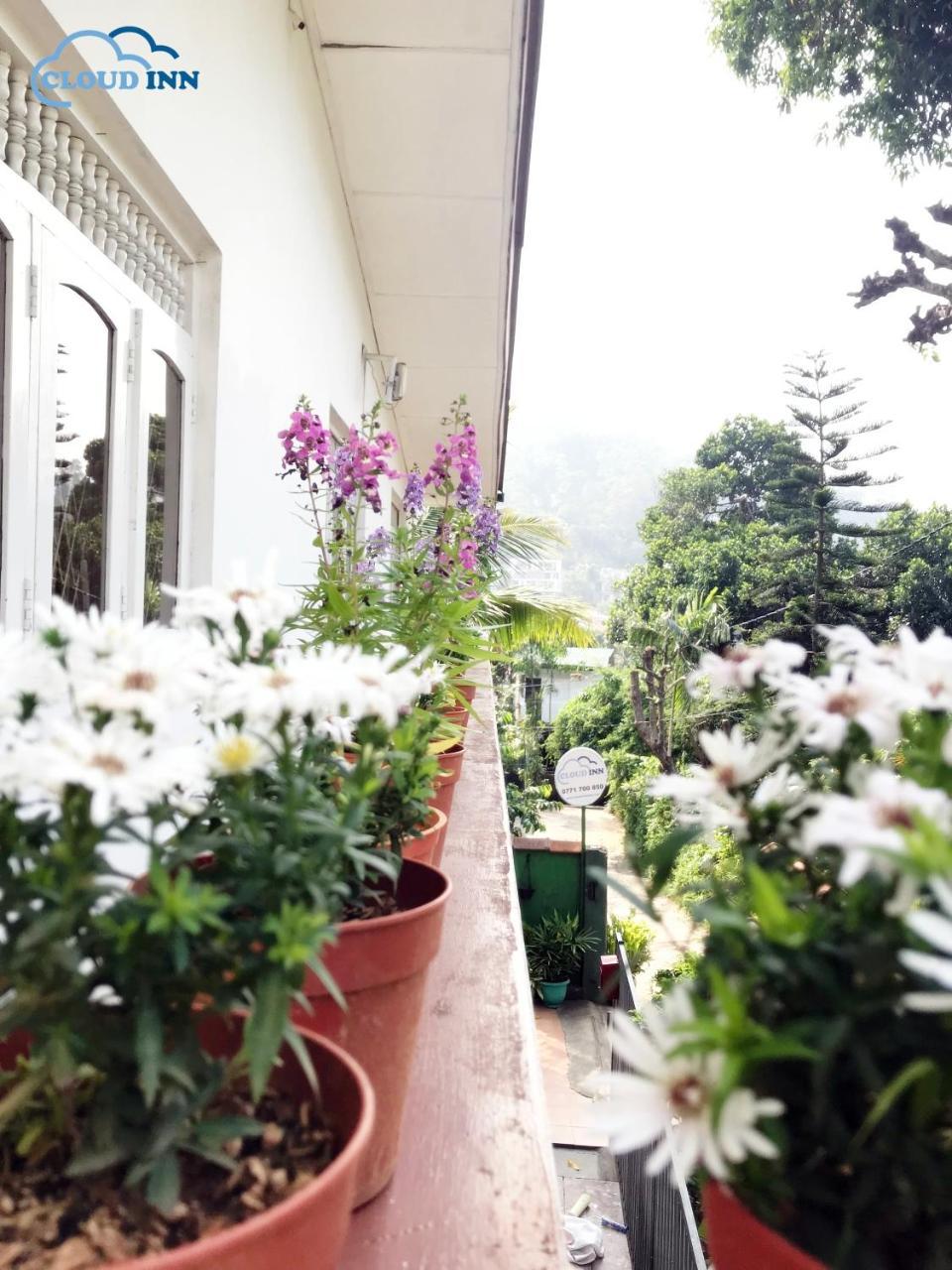 Cloud Inn Kandy Homestay Exteriör bild
